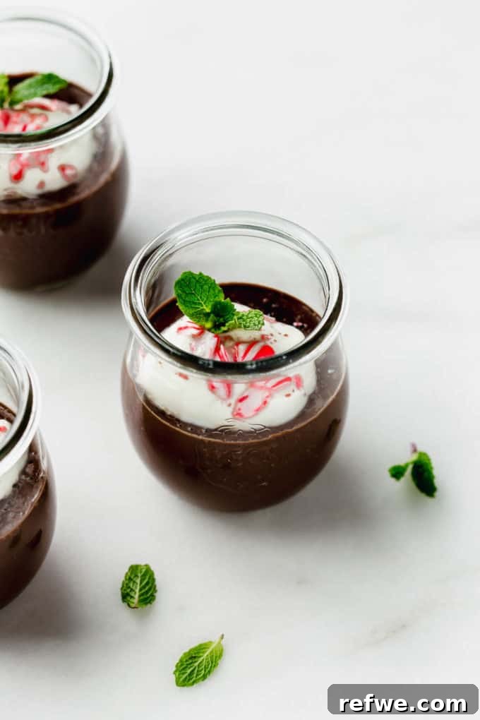 Velvet Mint Chocolate Pudding 11 A single cup of rich mint chocolate pudding, elegantly topped with a swirl of whipped cream and a generous sprinkle of crunchy crushed candy canes, ready to be enjoyed.