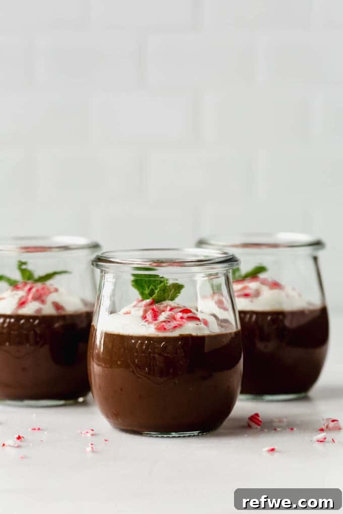 Velvet Mint Chocolate Pudding 10 Three perfectly portioned cups of mint chocolate pudding, beautifully set and ready for optional toppings or immediate enjoyment.