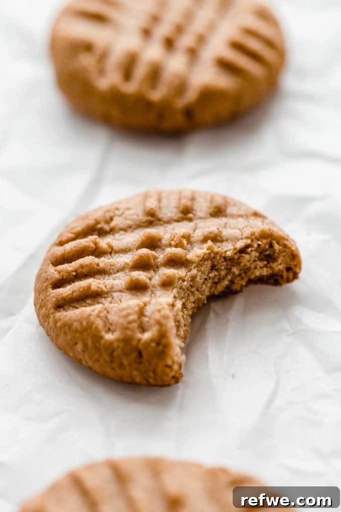 Irresistible Vegan Peanut Butter Treats 2 A perfectly baked vegan peanut butter cookie with a bite taken out, revealing its soft, chewy interior.