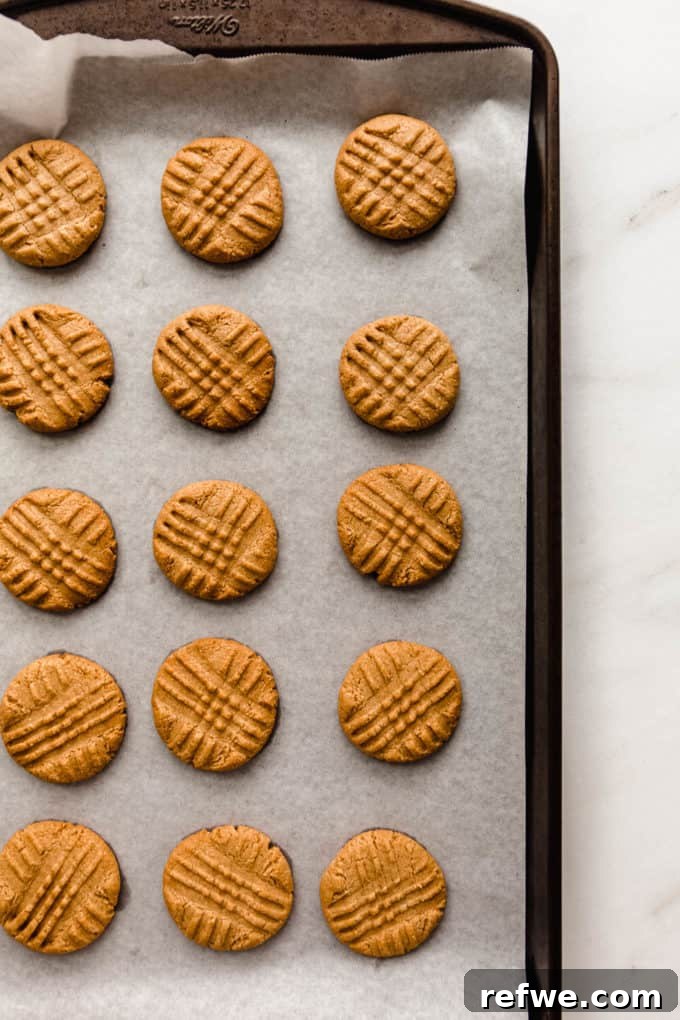 Irresistible Vegan Peanut Butter Treats 7 Freshly baked vegan peanut butter cookies, golden brown and cooling on a baking sheet.