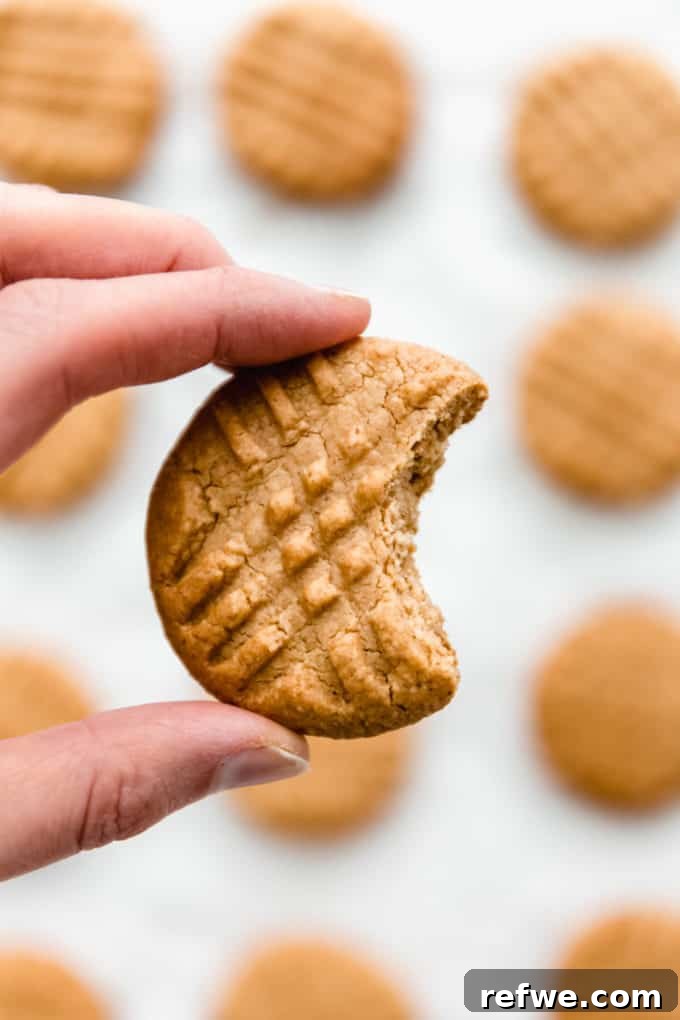 Irresistible Vegan Peanut Butter Treats 9 A hand gently holding a perfectly baked vegan peanut butter cookie, ready to be enjoyed.