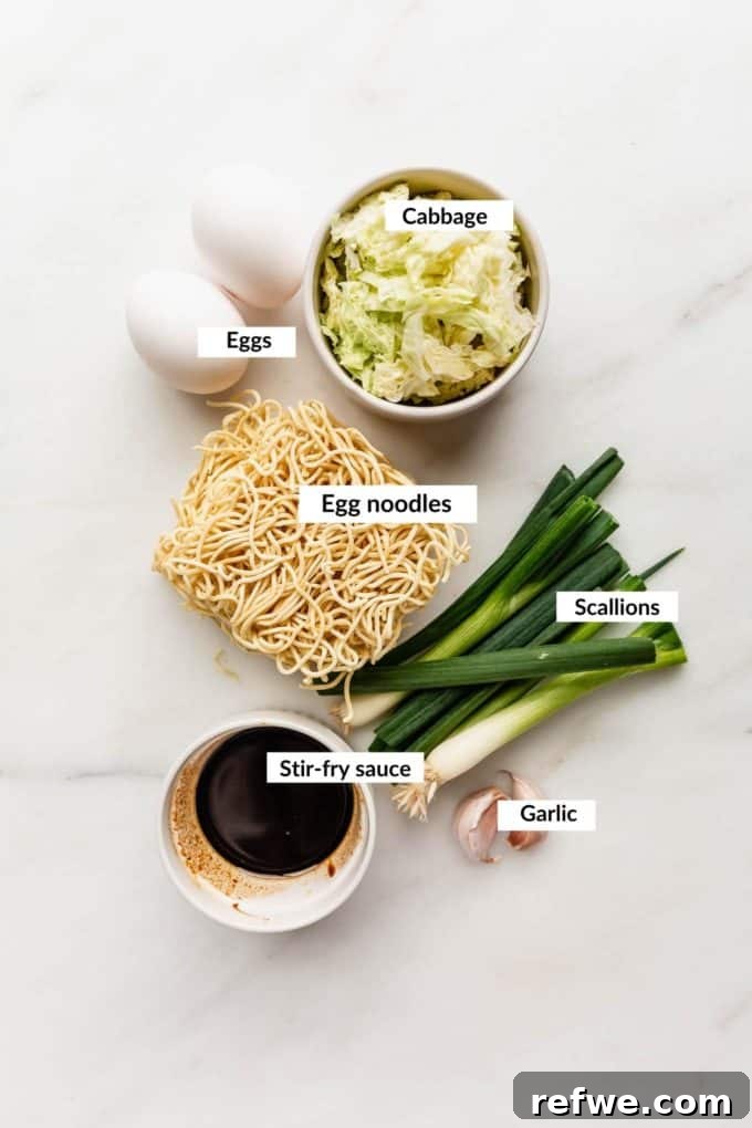 Indonesian Fried Noodles Mie Goreng 3 A flat lay photograph showcasing all the fresh ingredients needed to prepare Mie Goreng, including noodles, vegetables, and sauce components.