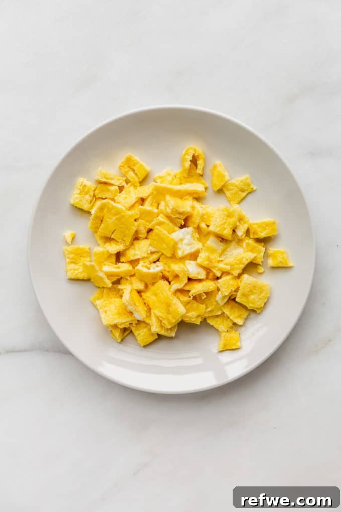 Indonesian Fried Noodles Mie Goreng 9 Chopped omelette pieces neatly arranged on a white plate.