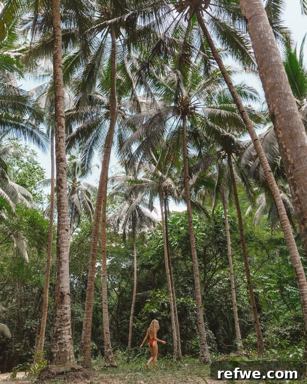 Philippines in 14 Days An Island Adventure 5 Palm trees and clear waters in Moalboal, Cebu