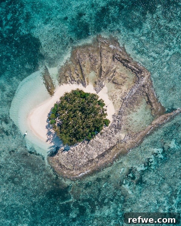 Philippines in 14 Days An Island Adventure 9 Lush palm trees on Siargao Island