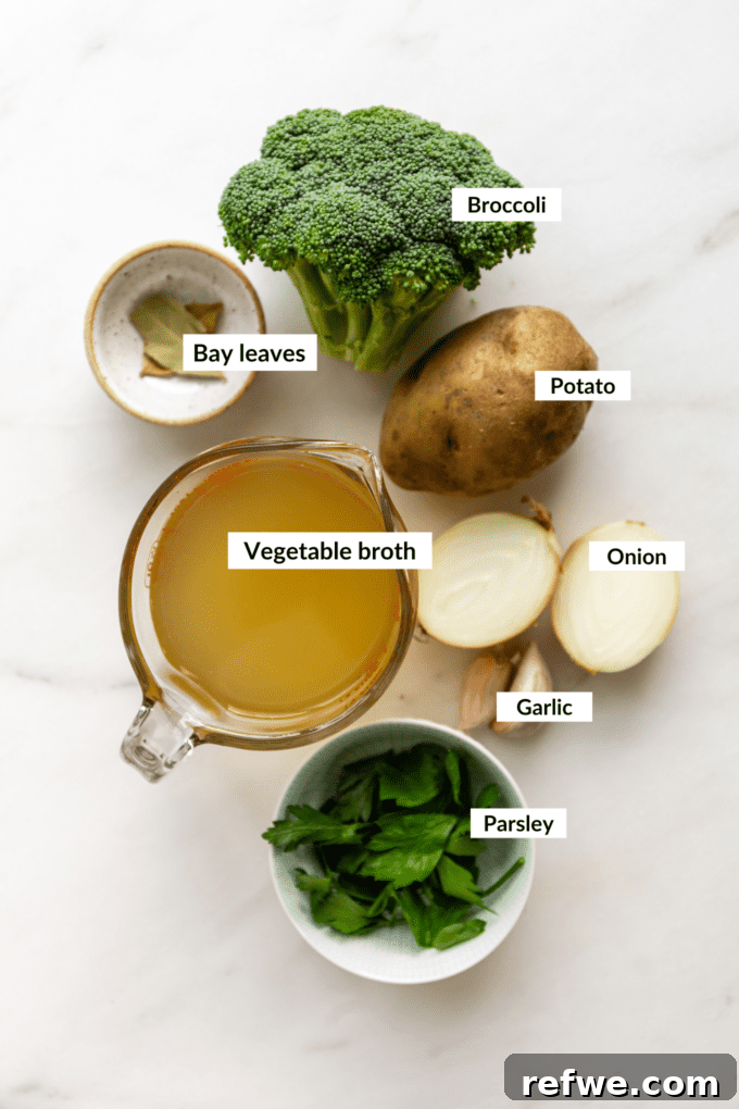 Wholesome Broccoli Potato Potage 3 A collection of fresh ingredients laid out, including broccoli florets, a russet potato, an onion, garlic cloves, fresh parsley, and a bay leaf, ready for making broccoli potato soup