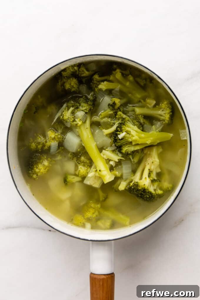 Wholesome Broccoli Potato Potage 8 Cooked broccoli and potato immersed in broth, ready for blending, in a white pot