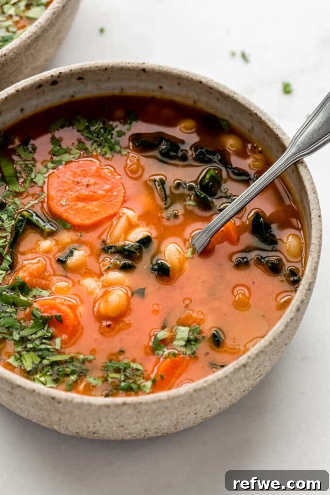 A beautiful bowl of white bean and kale soup, with a spoon resting in it, inviting you to take a bite.