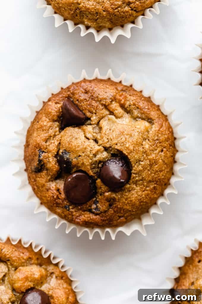 Wholesome Banana Oat Muffins 14 A close-up of a perfectly baked oat flour banana muffin, topped with melted chocolate chips, on a baking rack.