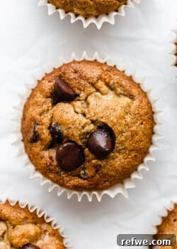 A banana oat flour muffin topped with chocolate chips, ready to be eaten.
