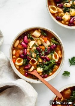 3 bowls of vegan minestrone soup