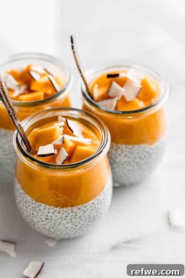30 Vibrant Vegetarian Recipes for Summer 2 Coconut Chia Pudding with Mango Puree