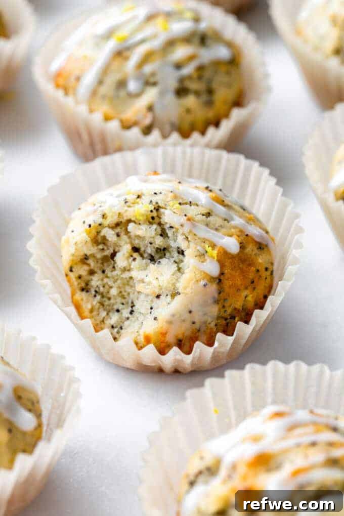 30 Vibrant Vegetarian Recipes for Summer 11 Healthy Lemon Poppy Seed Muffins