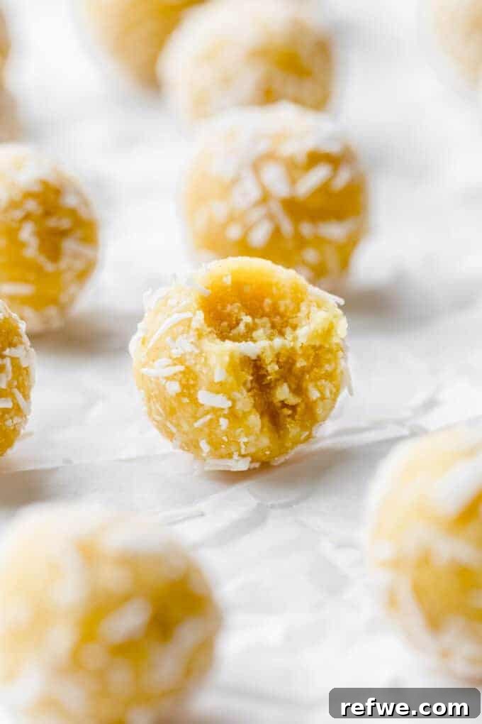 30 Vibrant Vegetarian Recipes for Summer 12 Lemon Bliss Balls
