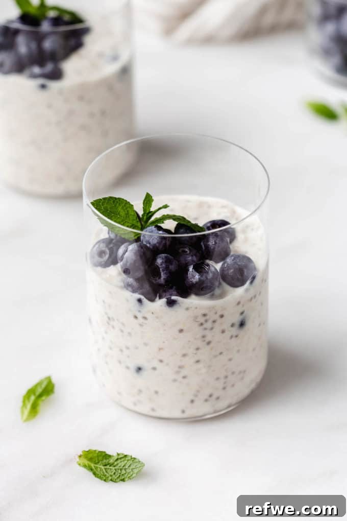 30 Vibrant Vegetarian Recipes for Summer 4 Blueberry Overnight Oats