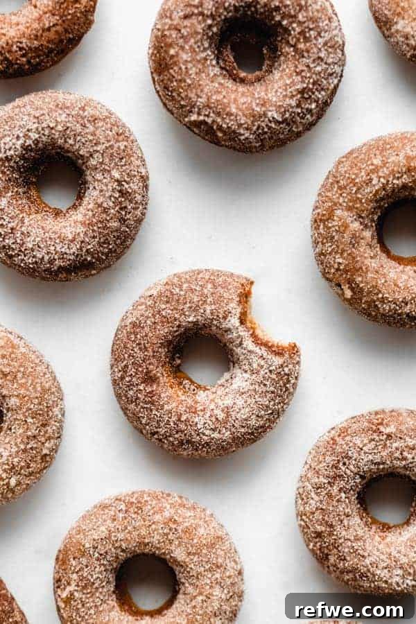 Savor the Season: 14 Fall Apple Recipes 14 Baked Vegan Apple Cider Donuts generously coated in cinnamon sugar, neatly stacked on a cooling rack.