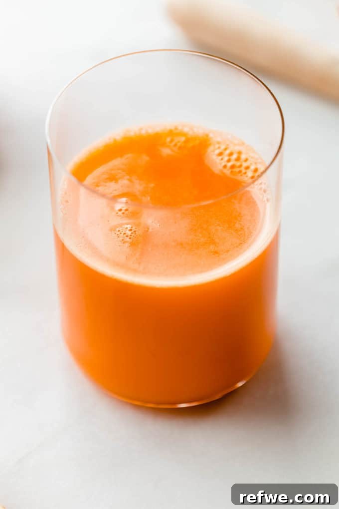 Zingy Ginger Carrot Orange Immunity Nectar 8 A single glass of vibrant orange, carrot, and ginger juice, garnished and ready to drink, highlighting its refreshing appeal.