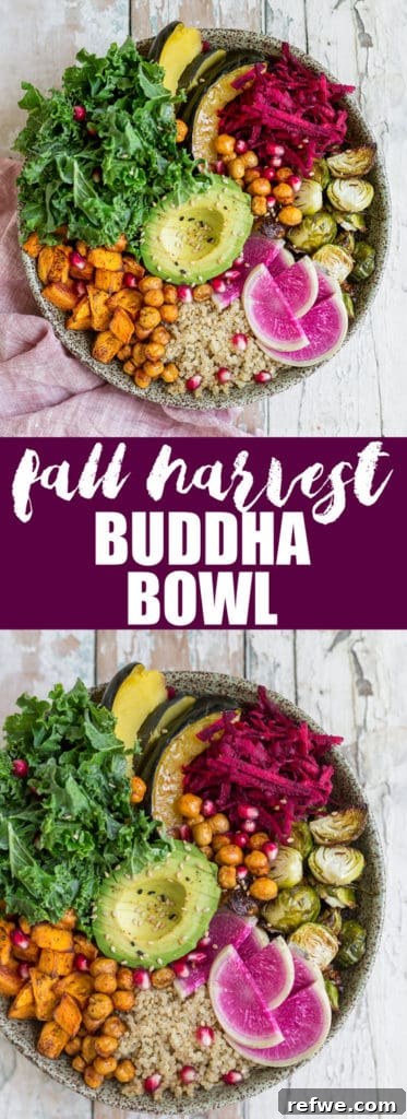 A large, tempting Fall Harvest Buddha Bowl, showcasing all its delicious components ready to be enjoyed as a healthy lunch or dinner.
