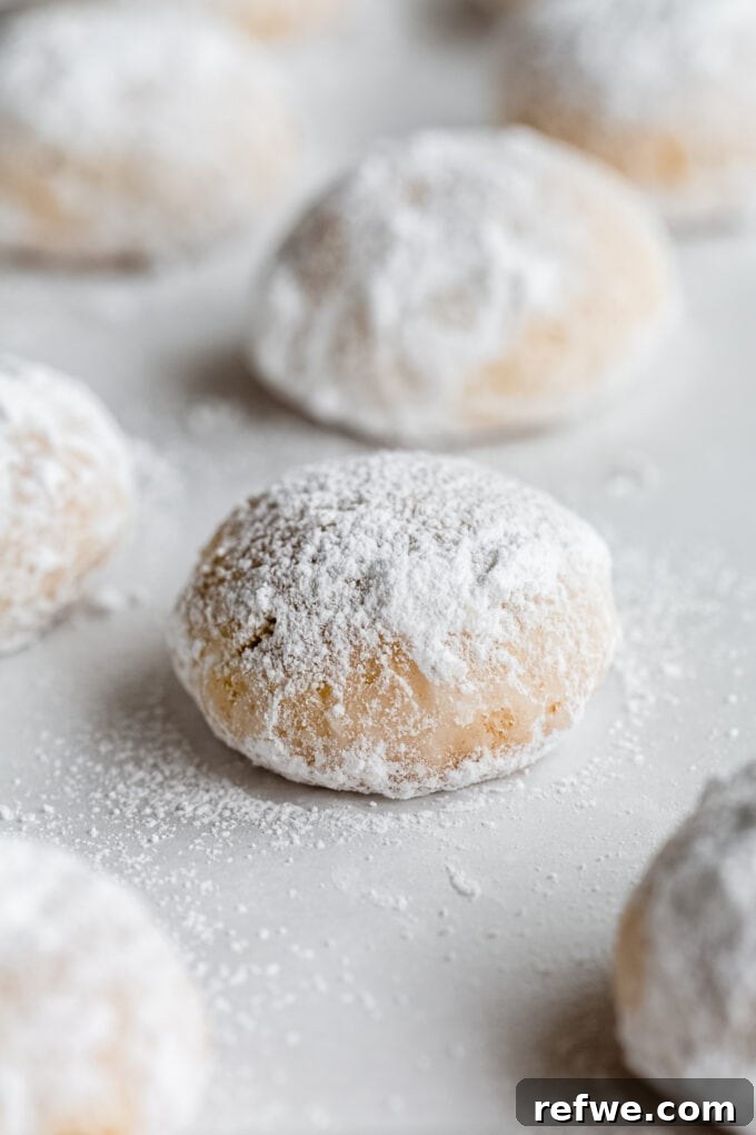A close-up of a perfectly formed almond snowball cookie, generously coated in white powdered sugar, evoking a winter holiday feel.