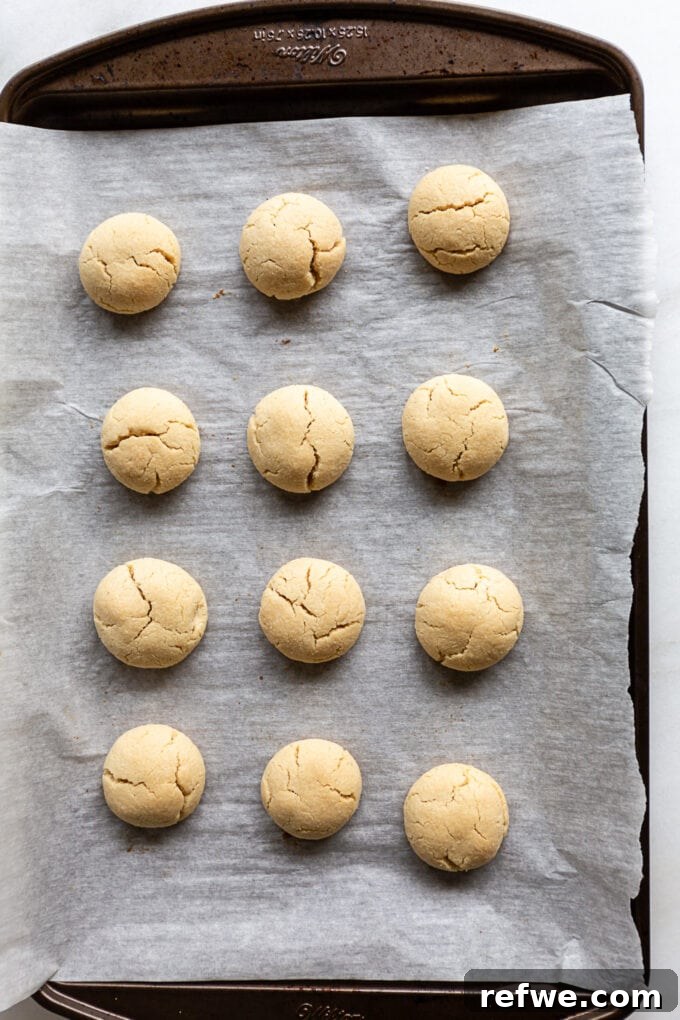 Freshly baked almond snowball cookies, lightly golden, cooling on a baking sheet, still warm and slightly soft.