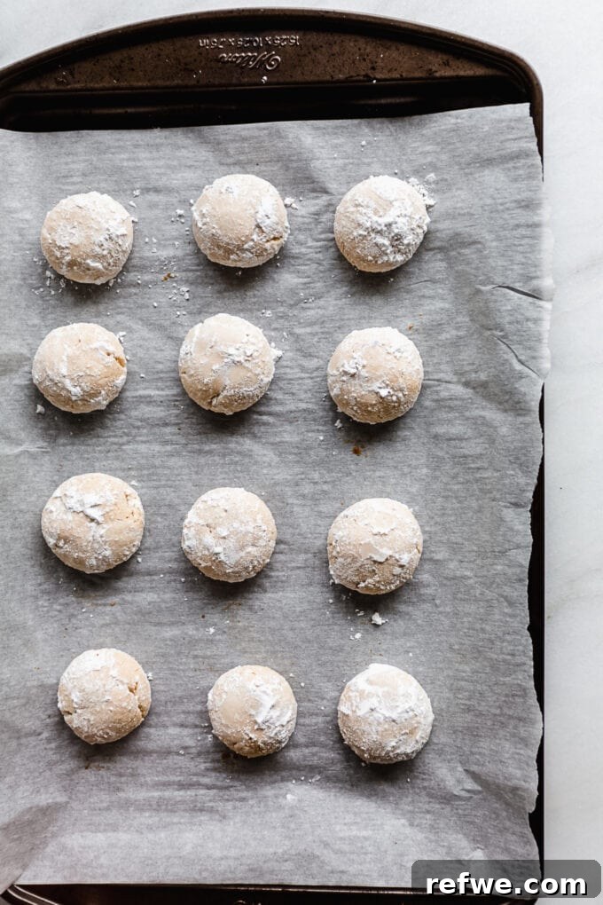 Almond snowball cookies on a baking sheet after their first roll in powdered sugar, still warm and slightly moist.