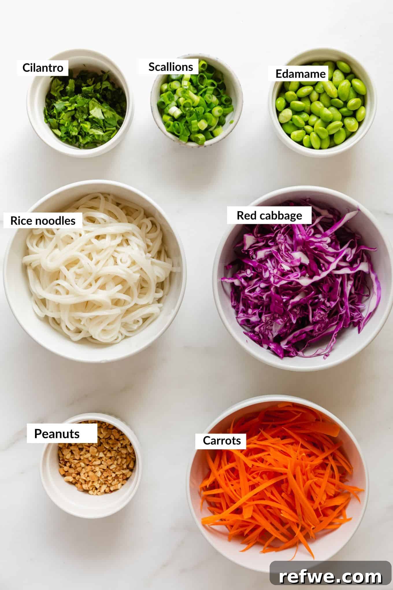 A vibrant flat lay of fresh ingredients including delicate rice noodles, brightly shredded carrots and cabbage, plump edamame, aromatic cilantro, and crunchy peanuts, all artfully arranged for making a delicious Thai noodle salad.