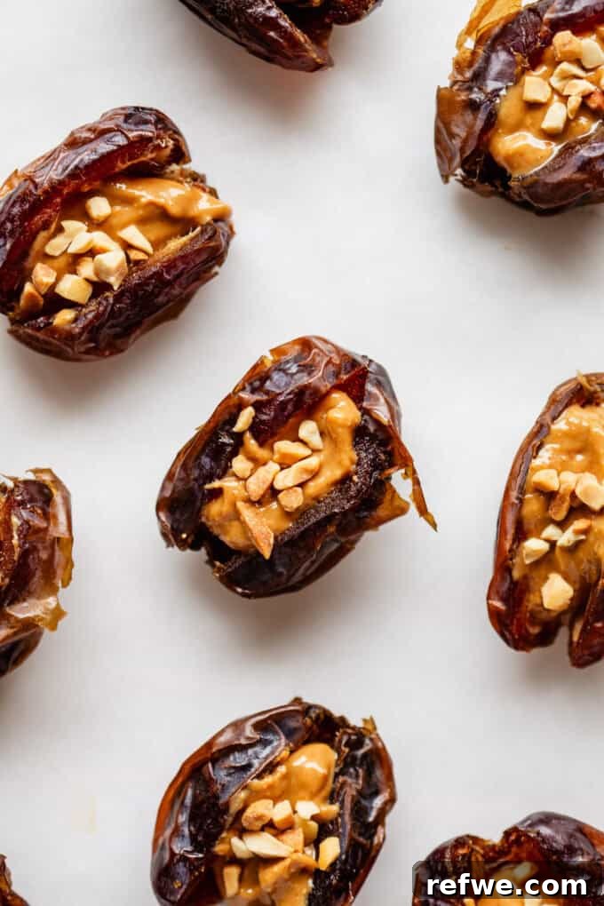 Snickers Dream Dates 6 Medjool dates stuffed with luscious peanut butter and generously topped with crushed peanuts, perfectly arranged and ready for their final delicious chocolate coating.