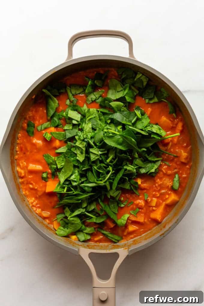 Wholesome Red Lentil Sweet Potato Curry 7 Fresh spinach is stirred into the hot sweet potato and lentil curry, wilting into the vibrant sauce.
