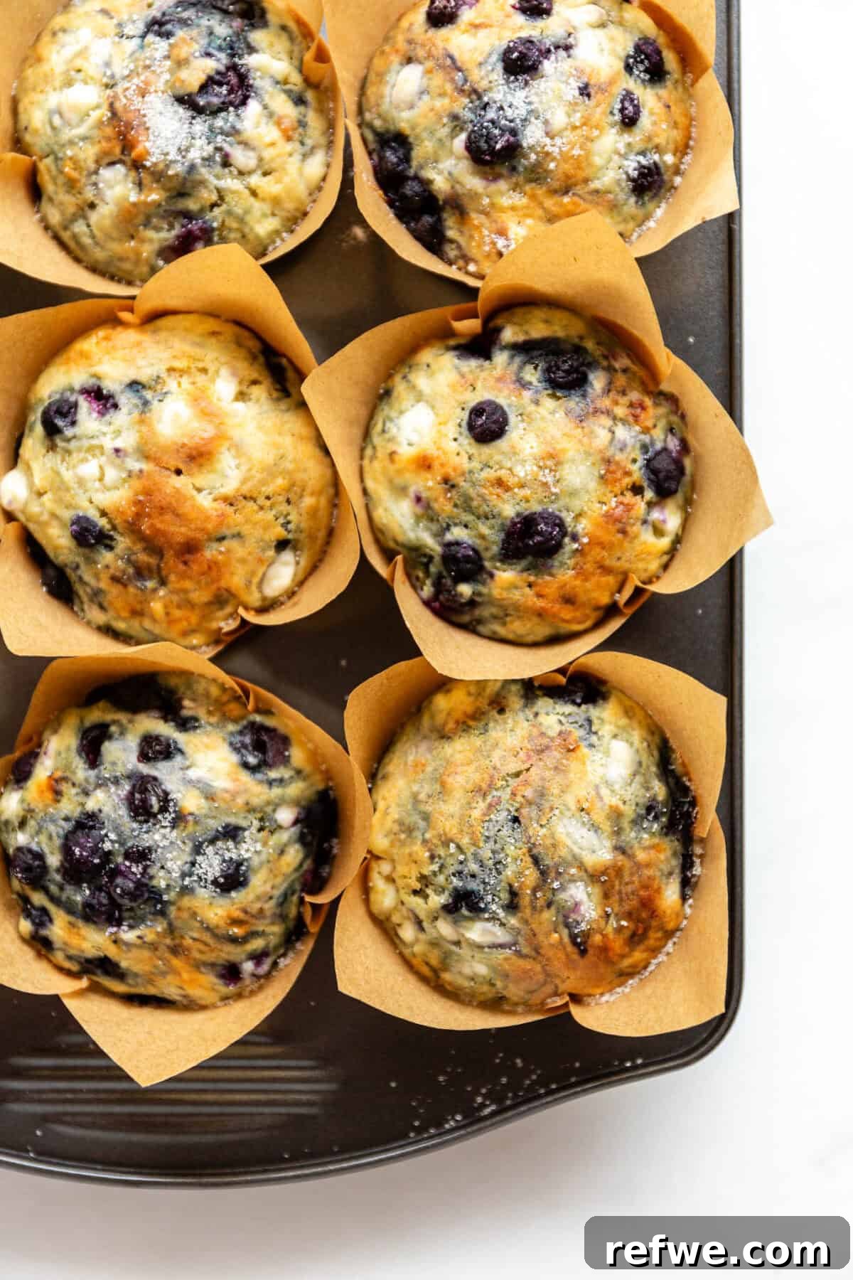 Freshly baked blueberry cottage cheese muffins still in the muffin pan, golden brown and puffed.