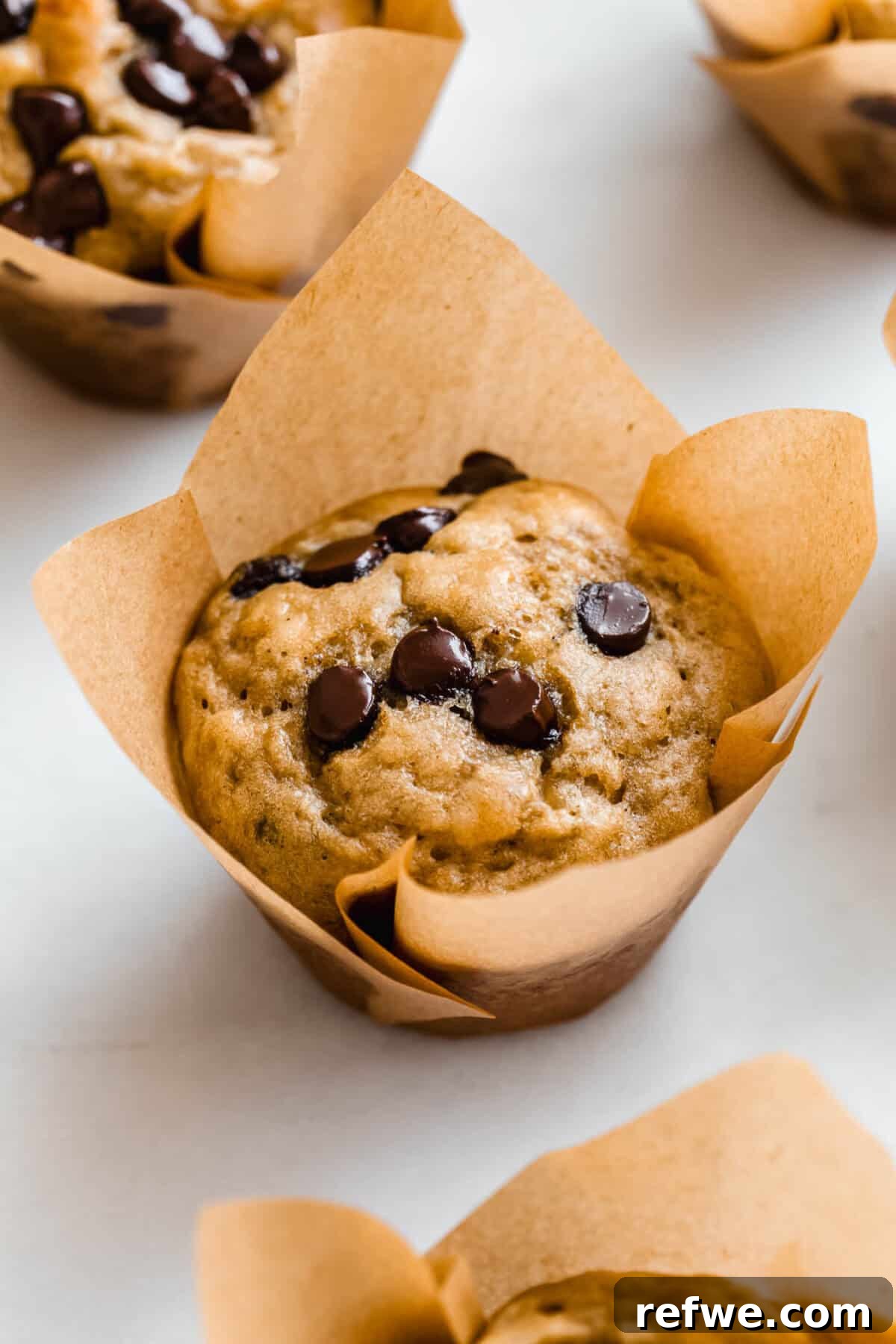 A single, perfectly golden chocolate chip protein banana muffin sitting elegantly in a brown paper liner, ready to be eaten.