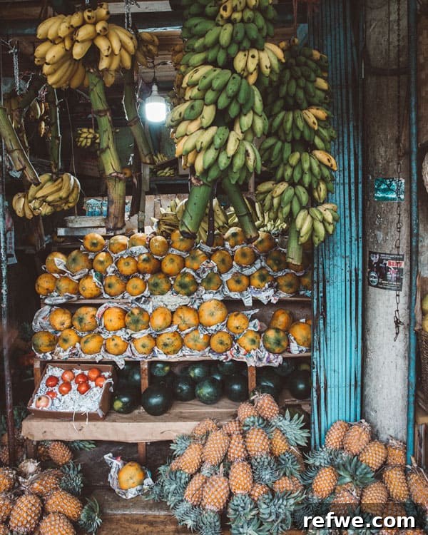 Sri Lanka: A Fortnight of Wonders 5 Two week Sri Lanka travel guide