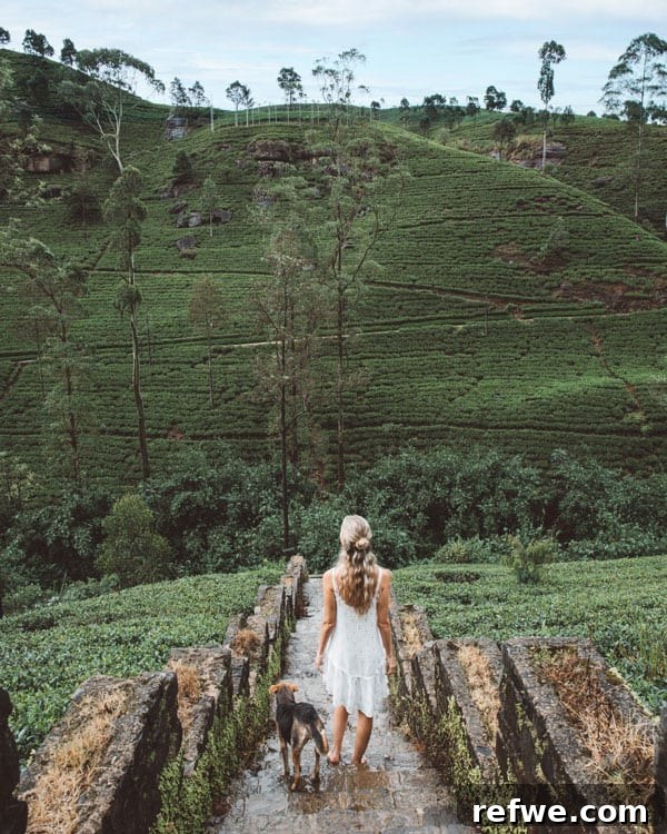 Sri Lanka: A Fortnight of Wonders 6 Two week Sri Lanka travel guide