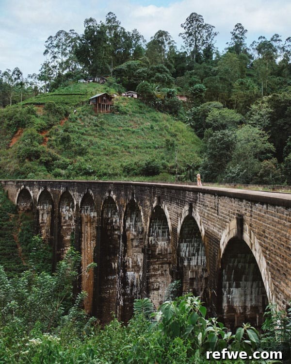 Sri Lanka: A Fortnight of Wonders 7 Two week Sri Lanka travel guide