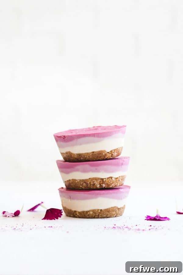 Close-up shot of an individual raw vegan raspberry cheesecake, showcasing its layered structure with a nutty crust and smooth pink filling.
