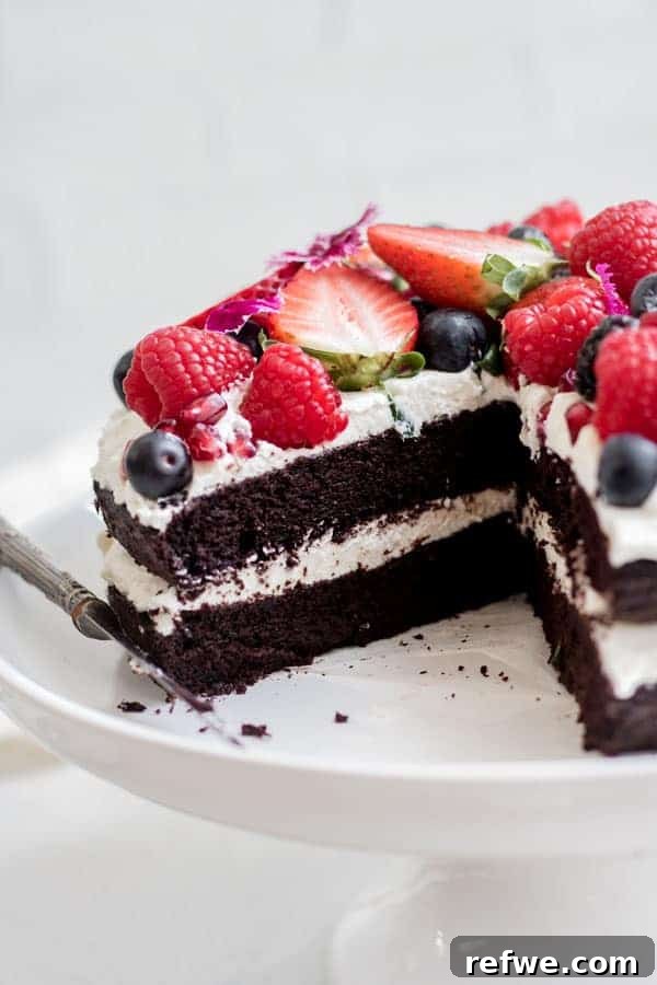 Blender Chocolate Quinoa Delight 4 blender chocolate quinoa cake slices