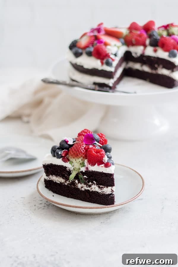 Blender Chocolate Quinoa Delight 6 blender chocolate quinoa cake with berries