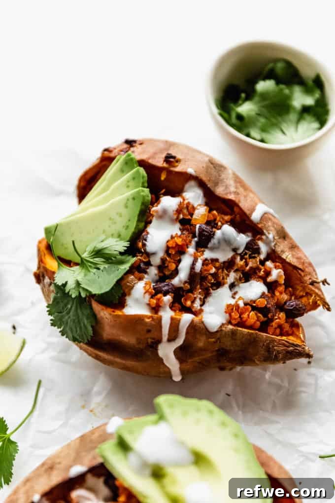 Hearty Black Bean Quinoa Stuffed Sweet Potatoes 11 A stunning arrangement of sweet potatoes generously stuffed with black beans and quinoa, beautifully topped with creamy avocado slices, highlighting the dish's vibrant appeal.