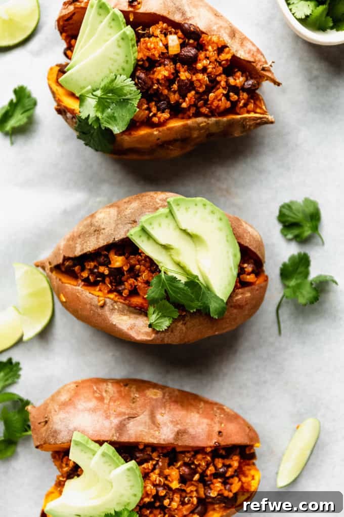 Hearty Black Bean Quinoa Stuffed Sweet Potatoes 9 Three beautifully stuffed sweet potatoes, overflowing with black beans and quinoa, each topped with creamy avocado slices.
