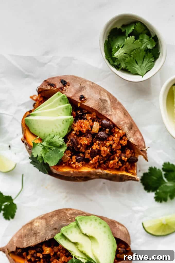 Hearty Black Bean Quinoa Stuffed Sweet Potatoes 10 Close-up of a perfectly prepared stuffed sweet potato with quinoa, black beans, fresh avocado, and vibrant cilantro.