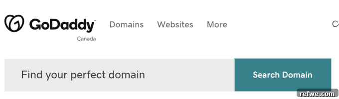 The Recipe for a Successful Food Blog Launch 2 Screenshot of a domain name search interface for a food blog