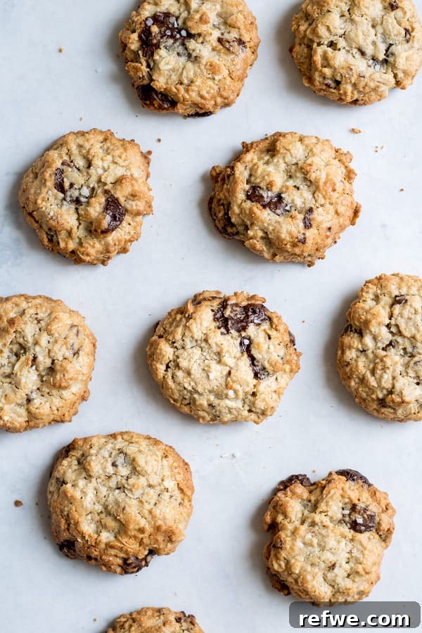 A batch of Chocolate Chunk Tahini Oatmeal Cookies arranged artistically, ready to be enjoyed.