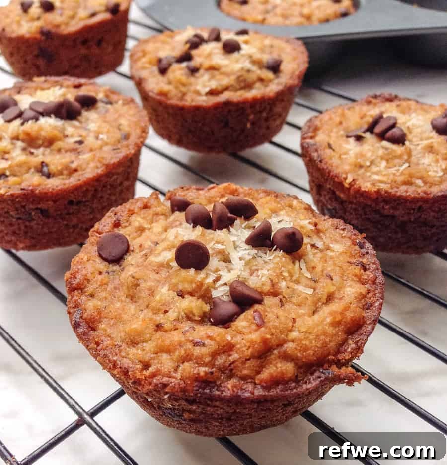 Decadent Plant-Based Chocolate Chip Muffins 3 Close-up of healthy vegan chocolate chip muffins, showcasing their soft texture and rich chocolate