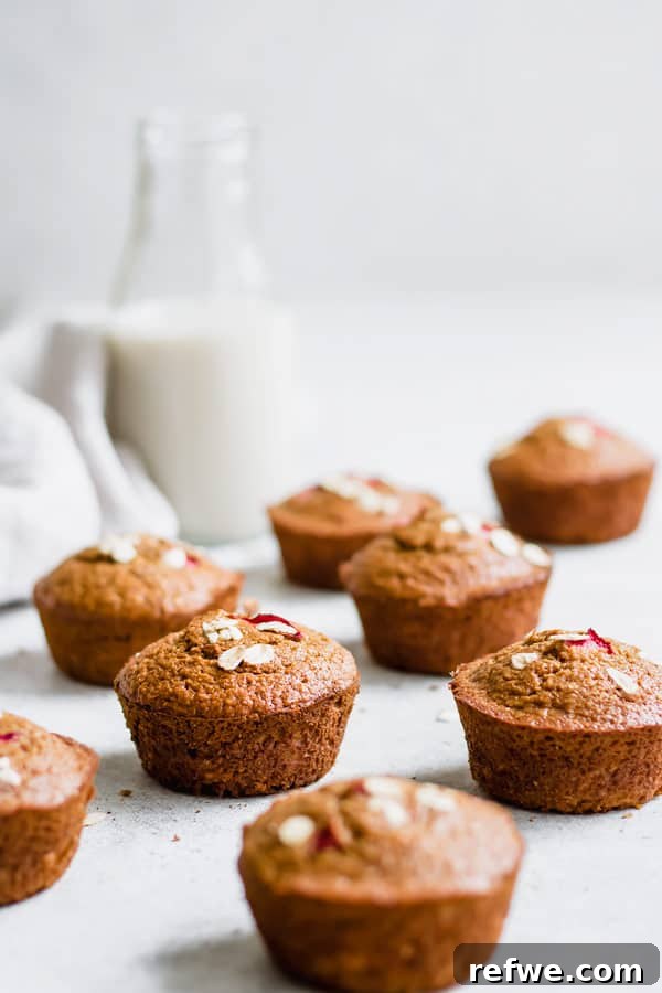 rhubarb oat bran muffins