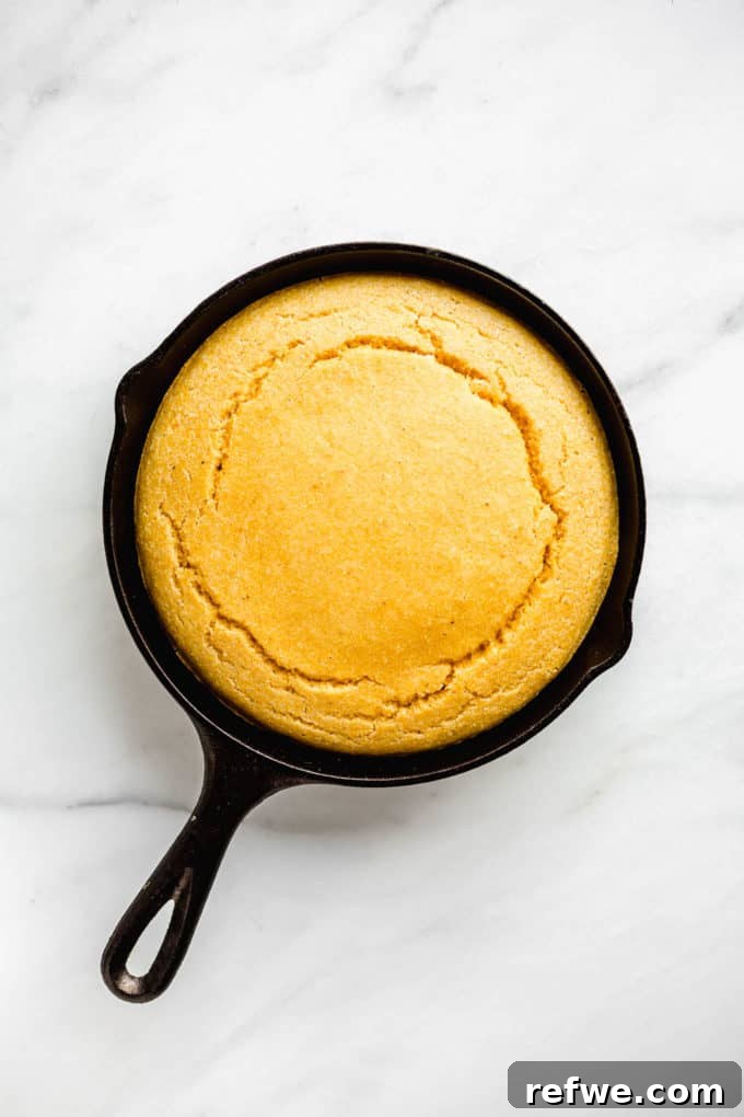 Plant-Based Cornbread 9 Freshly baked golden vegan cornbread in a cast iron skillet, showcasing its perfect rise and irresistible crust, ready to be enjoyed.