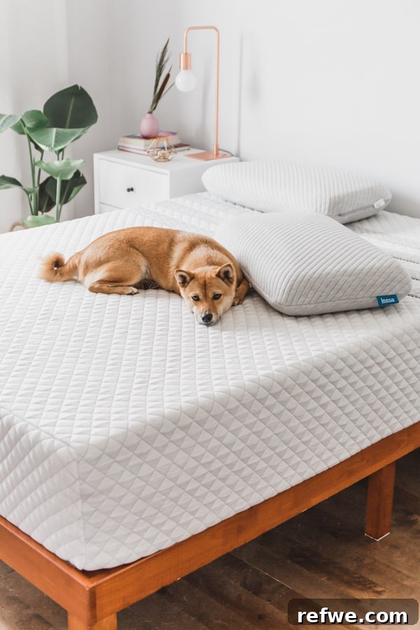Your Evening Ritual for Deep, Restorative Sleep 4 The ultimate bedtime routine for a better sleep