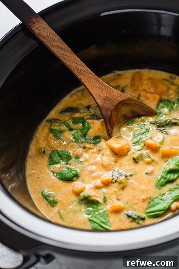 Hearty Slow Cooker Chickpea Pumpkin Curry 3 A top-down view of slow cooker chickpea pumpkin curry in a bowl, showing rich texture and vibrant colors.