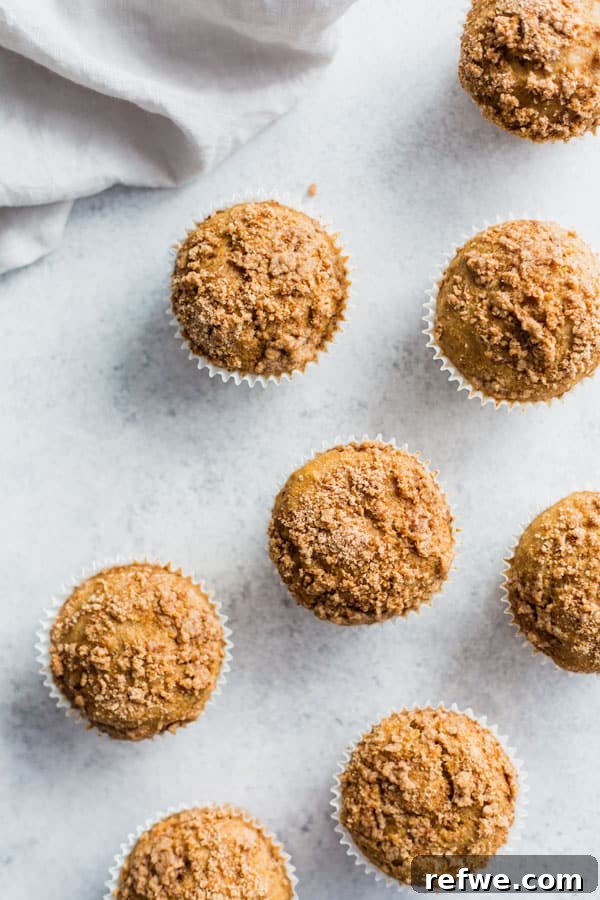 Vegan Coffee Cake Crumble Muffins 3 A plate of two vegan coffee cake streusel muffins, showcasing their delicate texture and generous streusel layer, ideal for a wholesome treat.