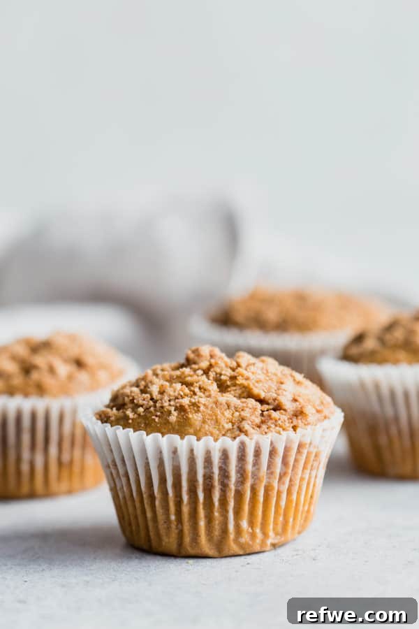 Vegan Coffee Cake Crumble Muffins 5 A baking sheet filled with golden-brown vegan coffee cake streusel muffins cooling, highlighting their perfect rise and crunchy topping.