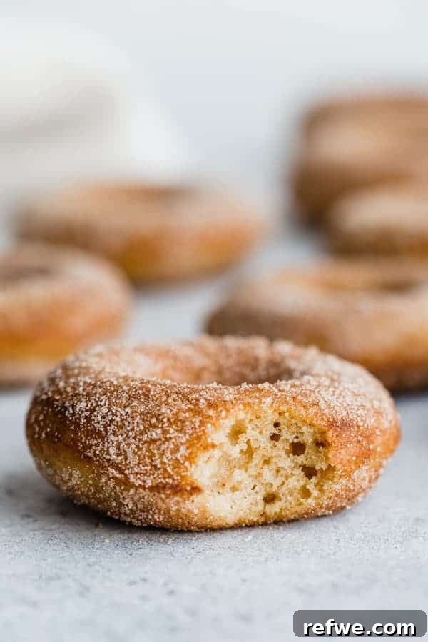 Delicious baked vegan pumpkin spice donuts covered in cinnamon sugar, ready to be enjoyed.