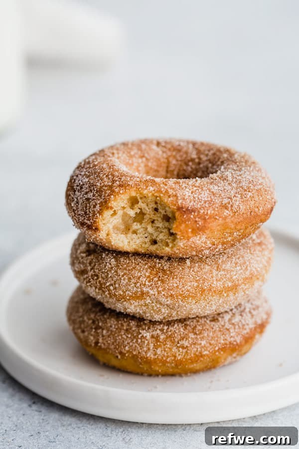 Close-up of a perfectly baked vegan pumpkin spice donut showing its fluffy texture.